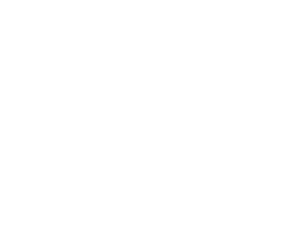 Renan Store Logo